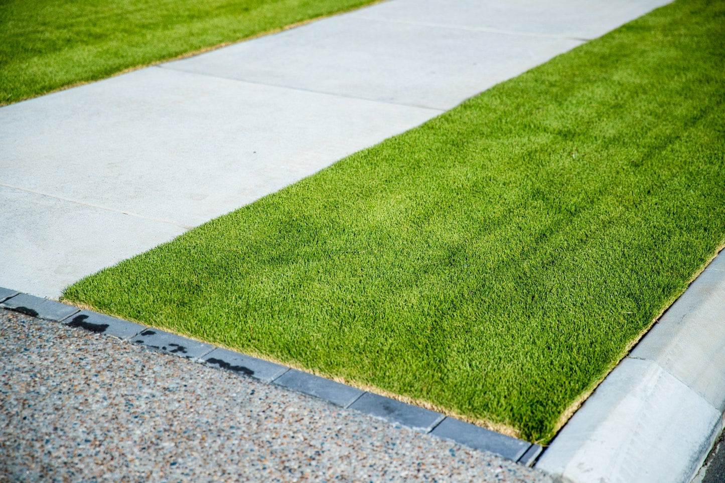 Sir Grange Zoysia Natural Turf m2