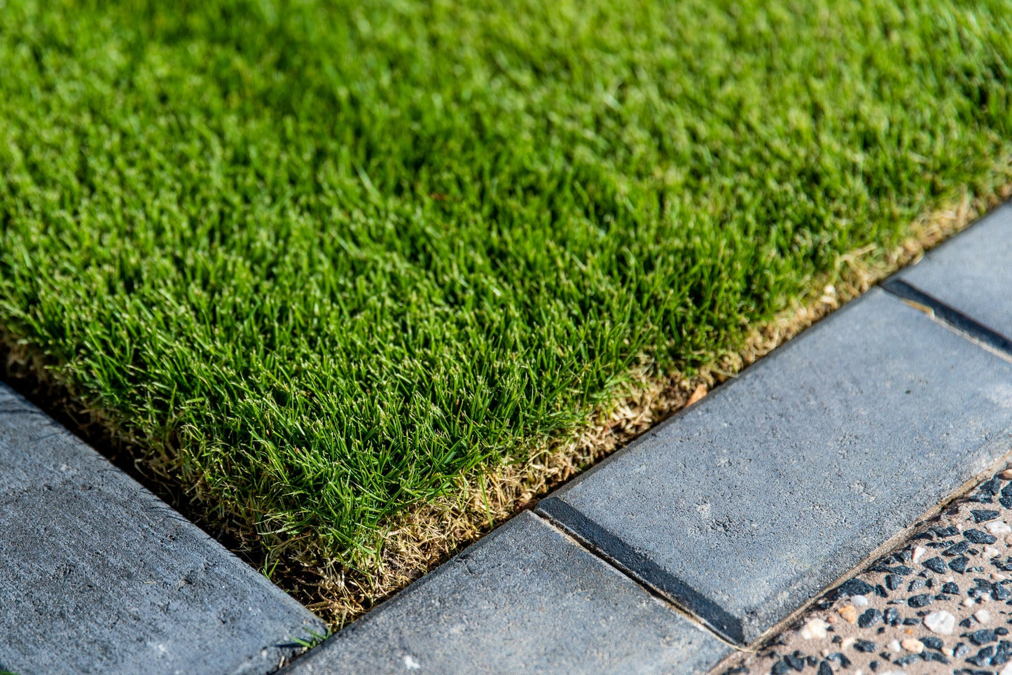 Sir Grange Zoysia Natural Turf m2