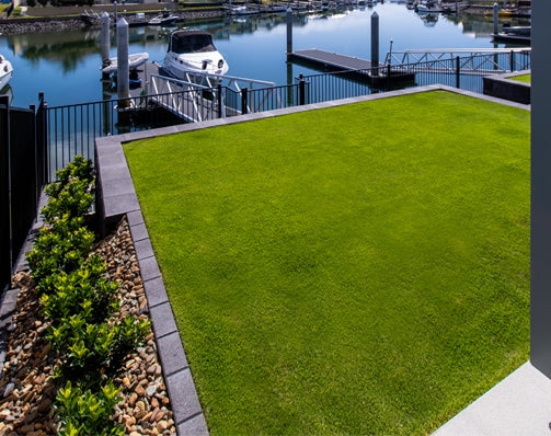 Sir Grange Zoysia Natural Turf m2