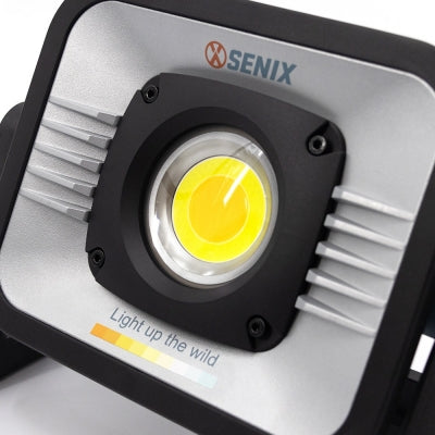 X2 18V Task Light Skin