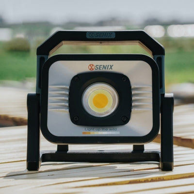 X2 18V Task Light Skin