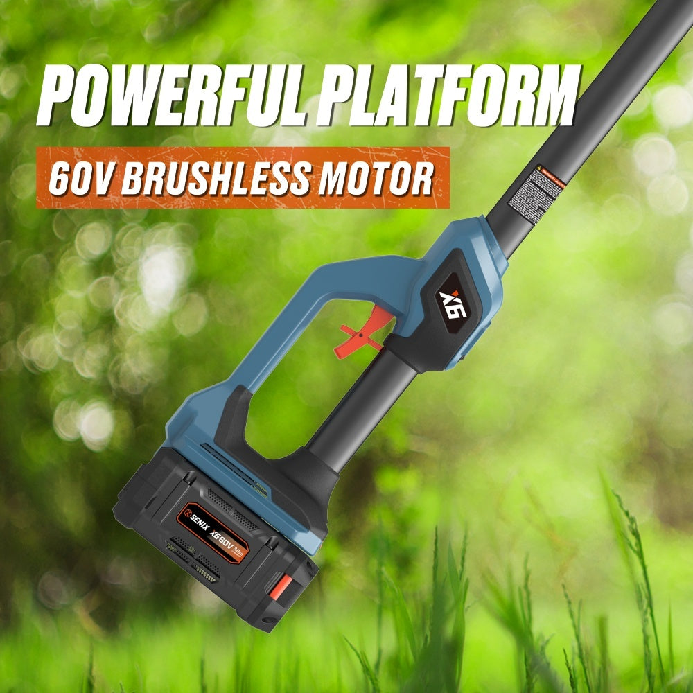 X6 60V Brushless 25cm (10") Pole Saw Kit