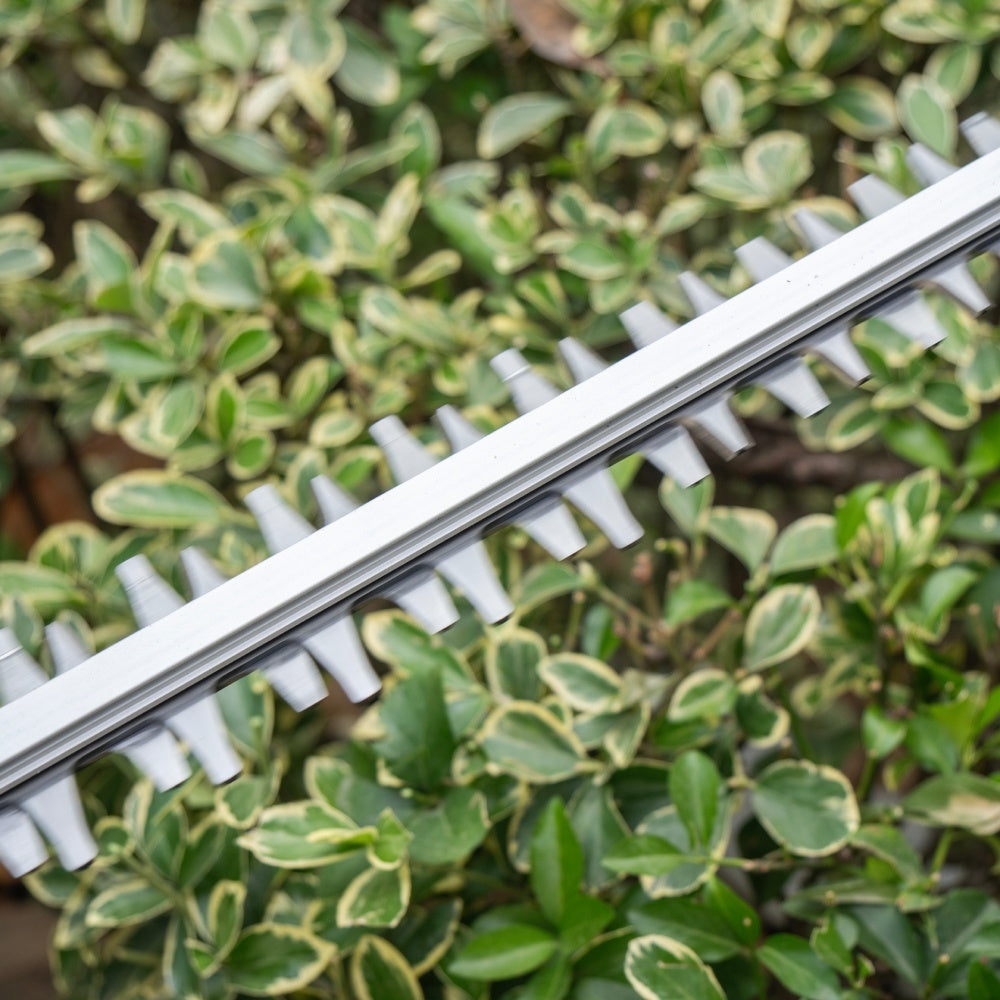 X6 60V Brushless 69cm (26") Hedge Trimmer Kit