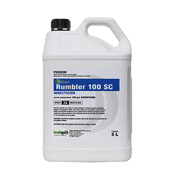 Indigo ProForce Rumbler 100SC Insecticide