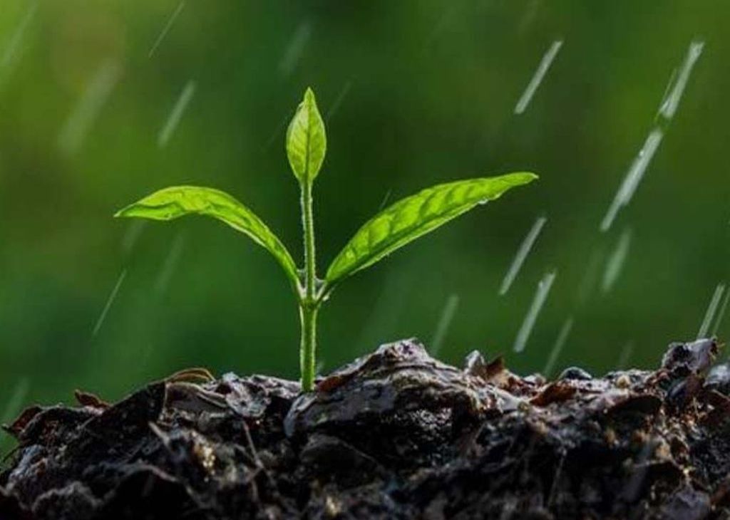 Environmental Water Analysis