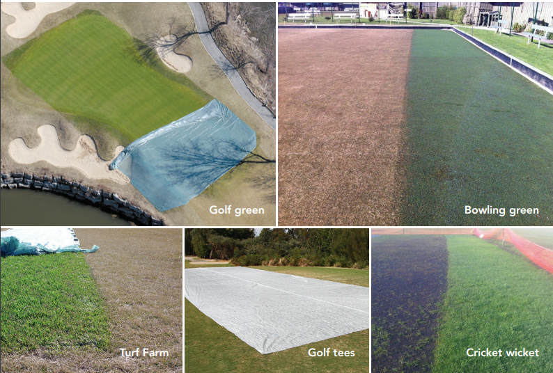 Evergreen White Turf Cover