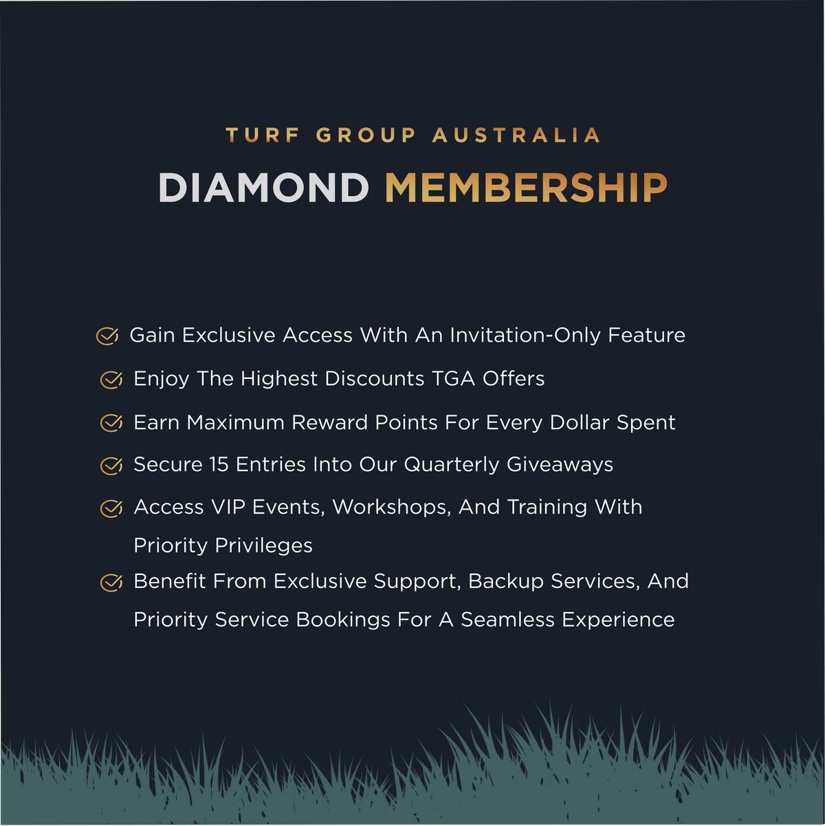 Diamond Membership Microsof Diamond Membership (One Year) – Turf Group Australia