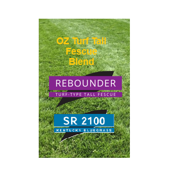OZ Turf Tall Fescue Blend (Sod quality) 1kg