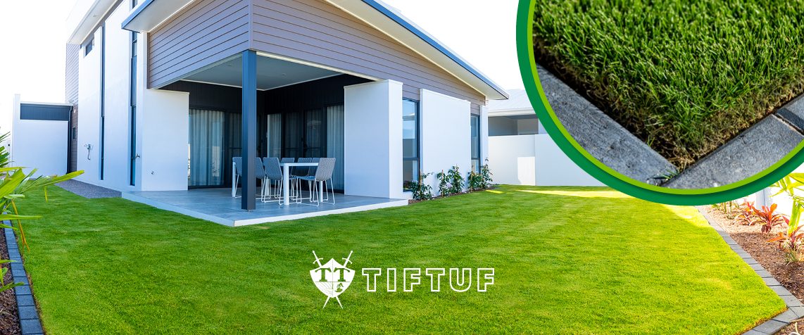 TifTuf Turf Bermuda Turf Natural Turf m2 – Turf Group Australia