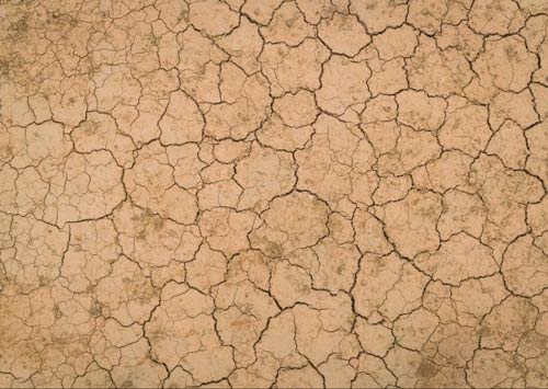 Physical Soil Analysis