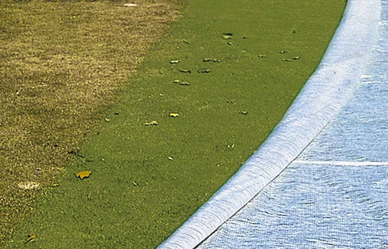 Evergreen White Turf Cover
