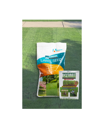 Landscape Range Rapid Green Defiant TTT Turf Ryegrass Seed